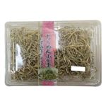 小女子 40g 1パック