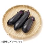 高知県などの国内産 なす 3本入 1袋