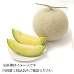 高知県または静岡県などの国内産 アールスメロン 1個