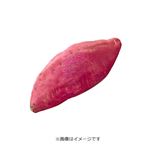 茨城県などの国内産 さつまいも 1本