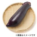 熊本県などの国内産 赤茄子 1本