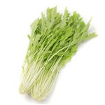 千葉県などの国内産 みず菜 1袋