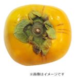 和歌山県などの国内産 たねなし柿 1個