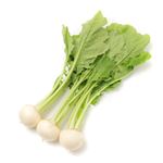 神奈川県などの国内産 小かぶ 1袋