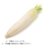 千葉県などの国内産 大根 1本