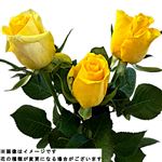 輸入バラ イエロー 3本束【置き楽配送指定不可】