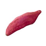 千葉県などの国内産 さつまいも（ベニアズマ）1本