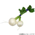 埼玉県などの国内産 小かぶ 1束