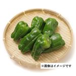 茨城県などの国内産 ピーマン 大袋 200g入 1袋