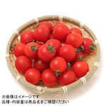 熊本県などの国内産 ミニトマト 大パック 250g入 1パック