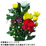 仏花（大）1束【置き楽配送指定不可】【12時以降の配送限定】