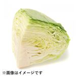 千葉県などの国内産 キャベツ 1／4カット