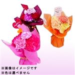 【母の日予約】スタンディングブーケ レッドピンク系 プチオアゾ 1束※色は選べません【5／8～5／11お渡し】【置き楽配送指定不可】