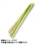 メキシコなどの国外産 アスパラガス 1束