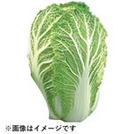 茨城県などの国内産  はくさい 1玉