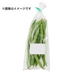 鹿児島県などの国内産 いんげん 1袋