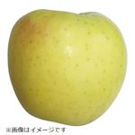青森県などの国内産 りんご（名月）1個
