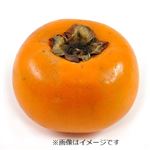 福岡県などの国内産 太秋柿  1個