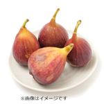 愛知県または千葉県などの国内産 いちじく  350g入 1パック