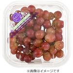 アメリカなどの国外産 皮ごと食べられる種無しぶどう（赤）1パック