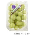 アメリカなどの国外産 皮ごと食べられる種無しぶどう（緑）1パック