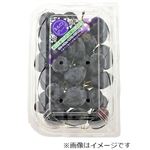 アメリカなどの国外産 皮ごと食べられる種無しぶどう（黒）1パック
