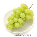 山梨県または長野県などの国内産 ぶどう（シャインマスカット）1房