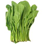 神奈川県などの国内産 ほうれんそう 1袋