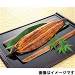 愛知三河一色産原料使用 トップバリュ うなぎ蒲焼 大 1尾  【7／17～26お渡し】