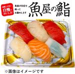 【魚屋の鮨】魚屋のにぎり鮨 6貫【わさび抜き】 1パック 【14時以降の配送】