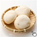 千葉県などの国内産 ジャンボマッシュルームホワイト 3玉入 1パック