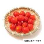 千葉県などの国内産 ミニトマト（スイートベル）大パック 150g入 1パック