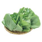 千葉県などの国内産 サラダ菜 1袋