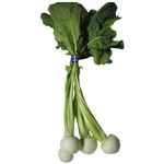 イオン農場 千葉県などの国内産 かぶ 3～4個入 1束