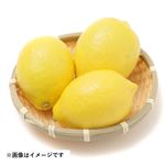 トップバリュ チリなどの国外産 レモン 3個入 1袋