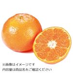 トップバリュ オーストラリアなどの国外産 手で皮がむけるオレンジ（中）1袋