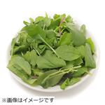 トップバリュ グリーンアイ オーガニック 茨城県などの国内産 ベビーリーフ 特大 120g入 1袋