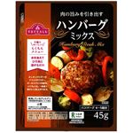 トップバリュ ハンバーグミックス 45g1パック