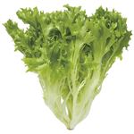トップバリュ 千葉県などの国内産 フリルレタス 1袋