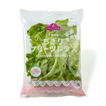 トップバリュ 千葉県などの国内産 ちぎりプリーツレタス 1袋