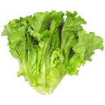 トップバリュ 減の恵み 茨城県などの国内産 グリンリーフ 1袋