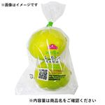 熊本県などの国内産 レモン 2玉入 1袋