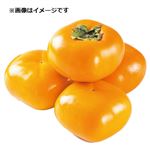 新潟県または和歌山県などの国内産 たねなし柿 1袋   【10／24～10／26お渡し】