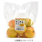 和歌山県などの国内産 ゆら早生みかん 500g入 1袋