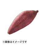 千葉県などの国内産 さつまいも（シルクスイート）1本