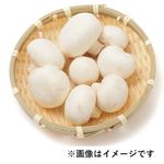 千葉県などの国内産 ホワイトマッシュルーム 大パック 1パック