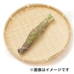 静岡県などの国内産 生わさび 小 1本