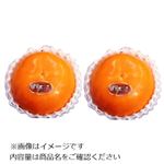 鳥取県などの国内産 熟れっ子柿（輝太郎）2個入 1パック