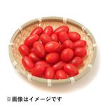 宮崎県などの国内産 ミニトマト（アンジェレ）少量 100g入 1パック