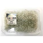 原料原産地：国産 淡路島産天日干しちりめん 27g